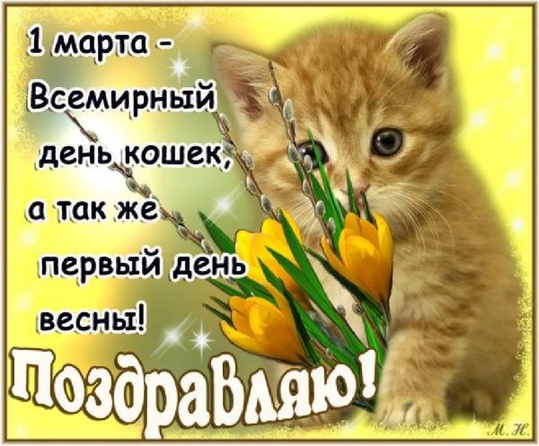 Поздравления с днём кошек