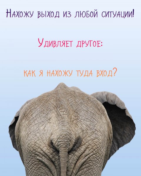 Приколы про жизнь