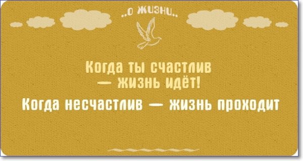 Прикольные картинки про жизнь