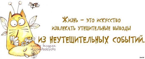 Прикольные статусы про жизнь смешные