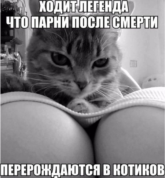 Эротические открытки для поднятия настроения