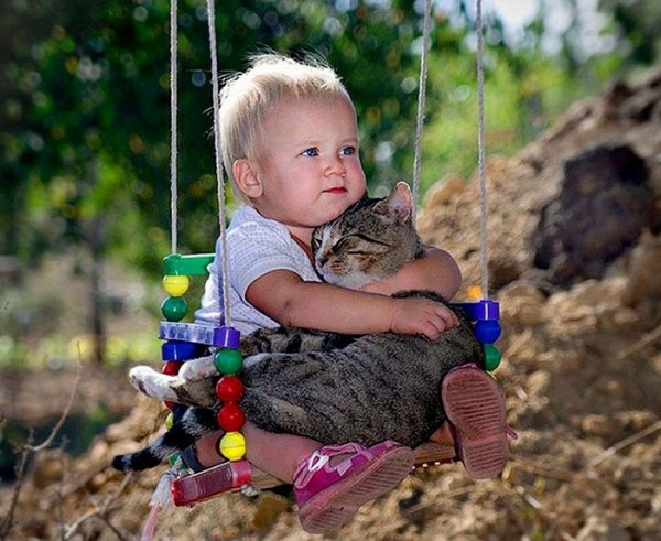 Кот для детей