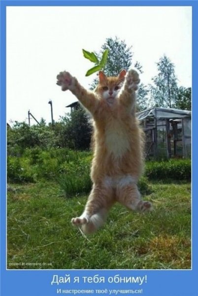 Позитивчик для поднятия настроения