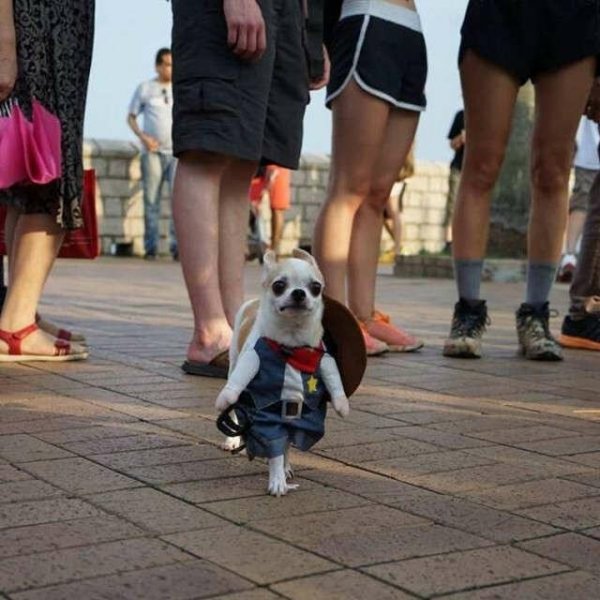 Классные картинки для поднятия настроения