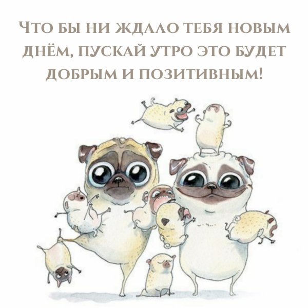 Доброе утро семья
