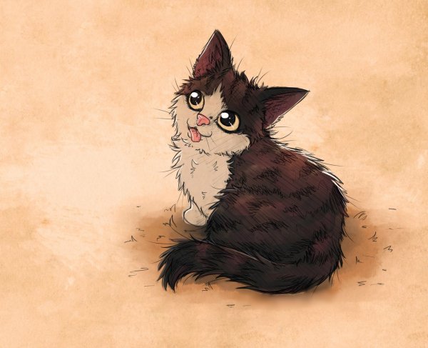 Котята аниме
