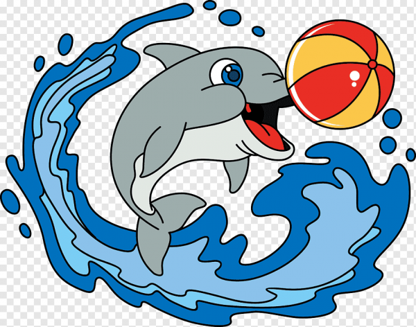 Веселый дельфин картинка (41 фото)