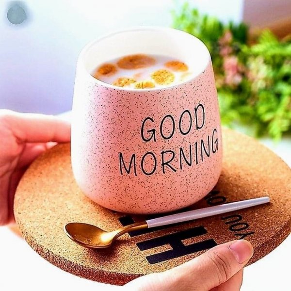 Good morning (доброе утро!)