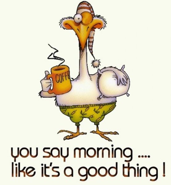 Good morning картинки прикольные
