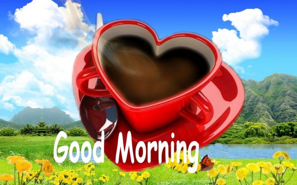 Good morning (доброе утро!)