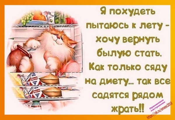 Смешные фразы про диету