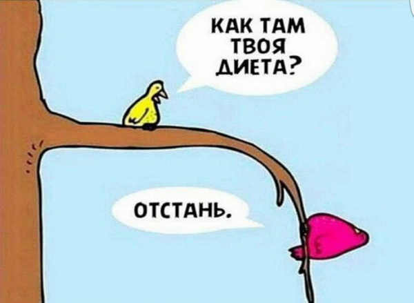 Шутки про диету