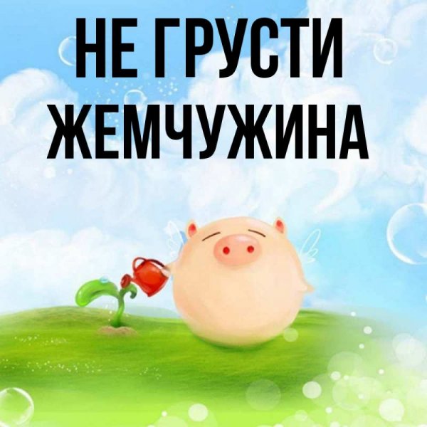 Сережка картошка