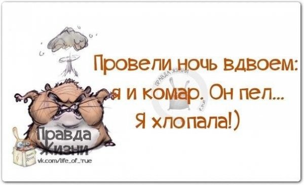 Смешные рисунки со смыслом