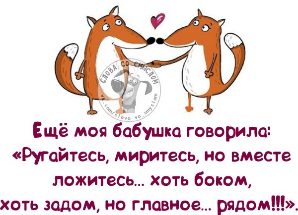 Смешные цитаты про ссоры