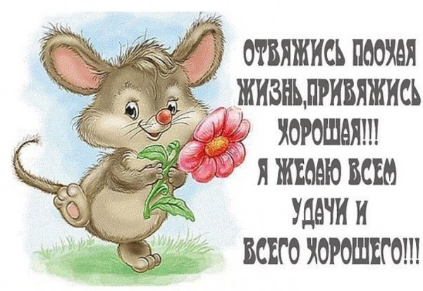 Добрые пожелания для поднятия настроения