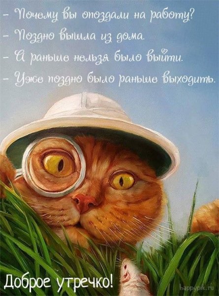 Открытки с добрым утром прикольные
