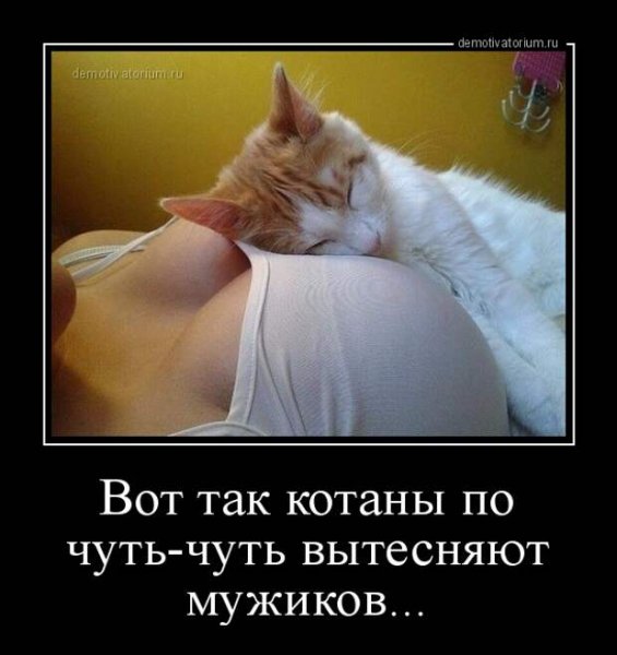 Прикольные демотиваторы для поднятия настроения