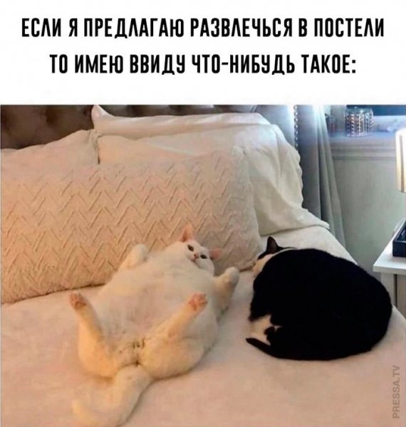Приколы для поднятия настроения мужчине