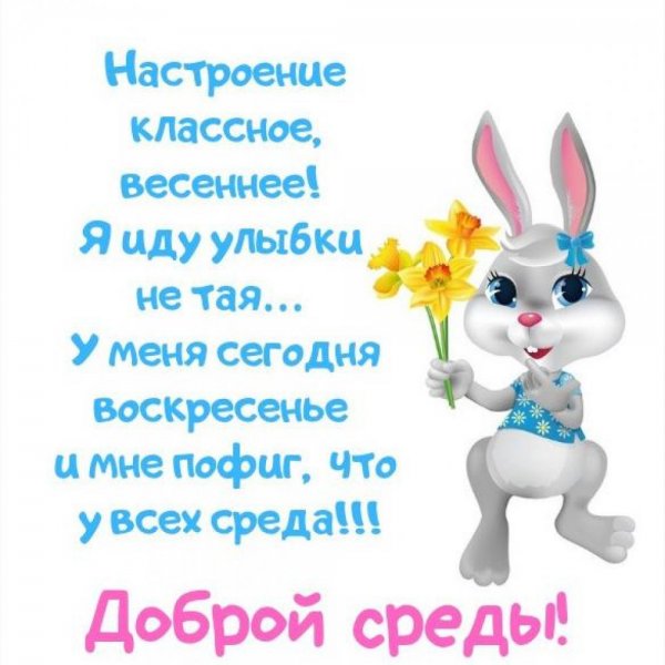 Открытки со средой прикольные
