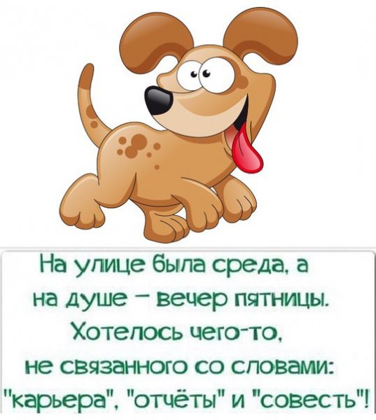 Стихи про среду