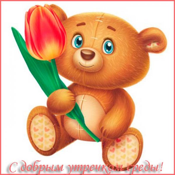 Доброе утро среда