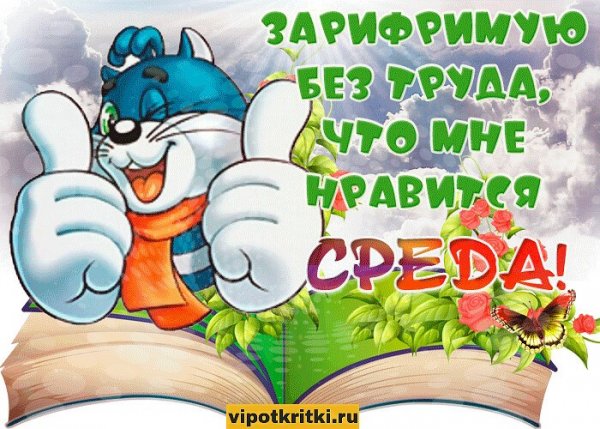 Открытка со средой смешная