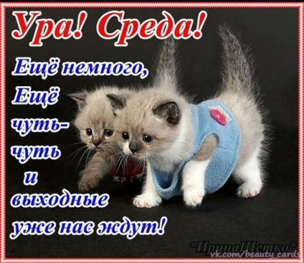 Поздравление со средой