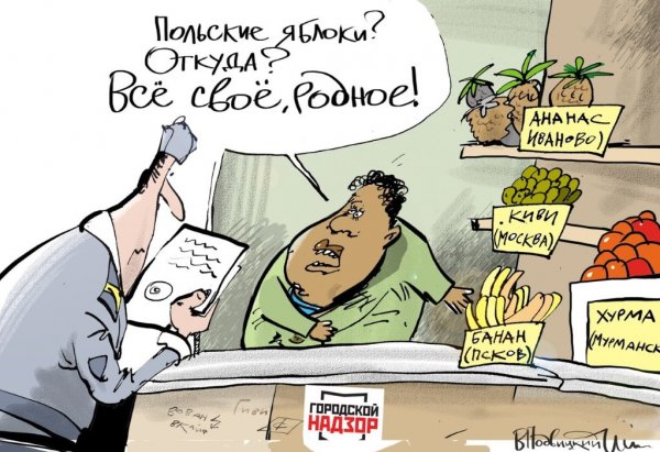 Продукты карикатура