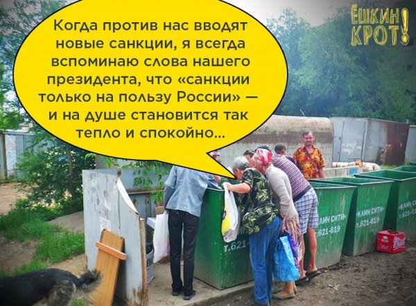 Полезные санкции Мем