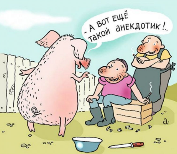Анекдоты карикатуры