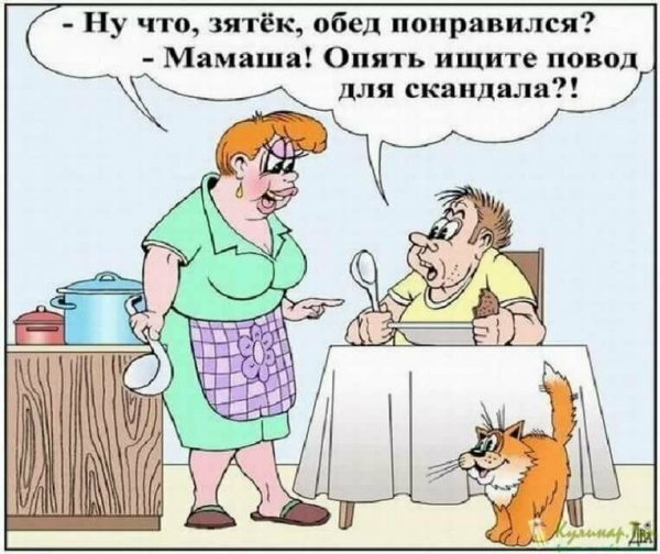 Анекдоты про тёщу смешные