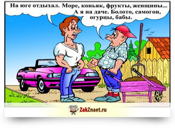Лучшие анекдоты
