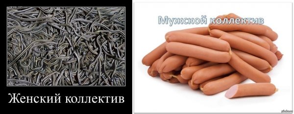 Женский коллектив прикол