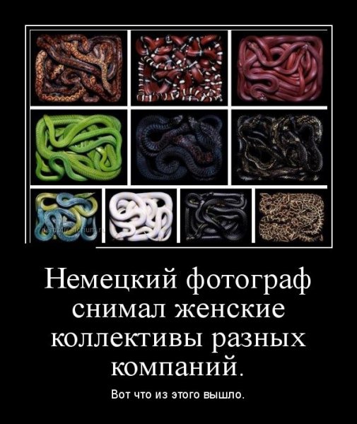 Женский коллектив