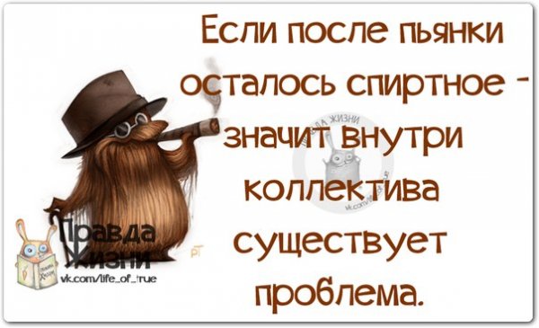 Прикольные высказывания про коллектив