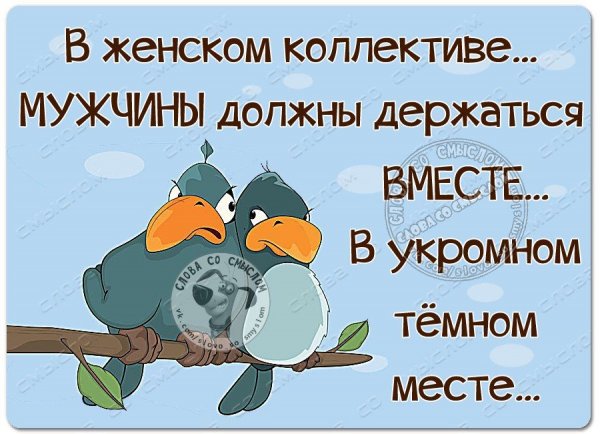 Дружный женский коллектив прикол