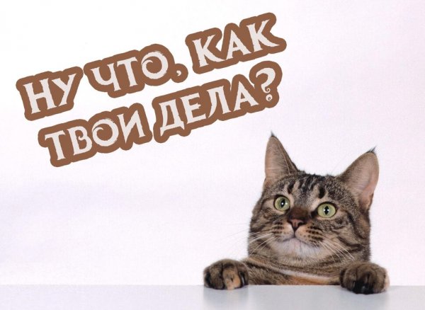 Как дела картинки