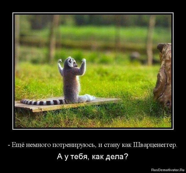 Как дела картинки прикольные