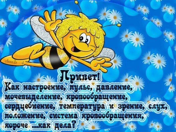 Привет как дела картинки