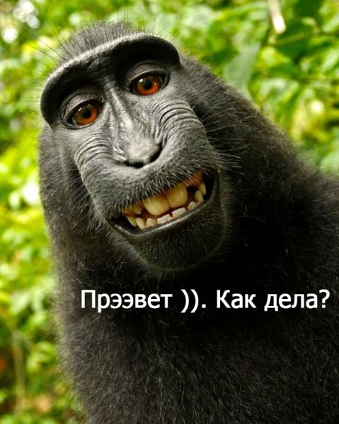 Фото как дела прикольные