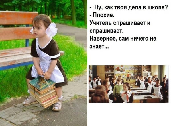 Как твои дела картинки смешные