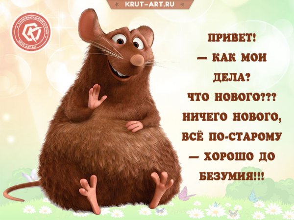 Приветствие прикол