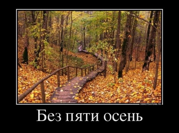 Шутки на осенней фотосессии