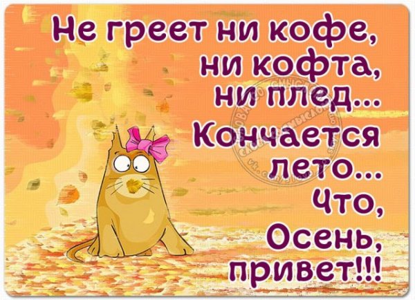 Последний день лета прикол