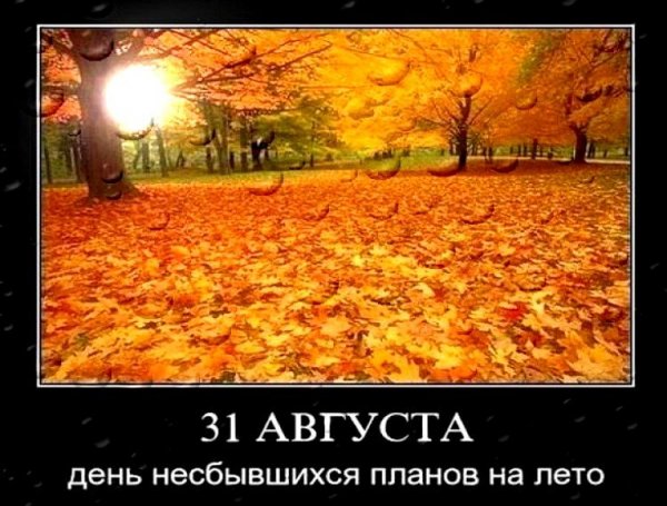 Вот и закончилось лето