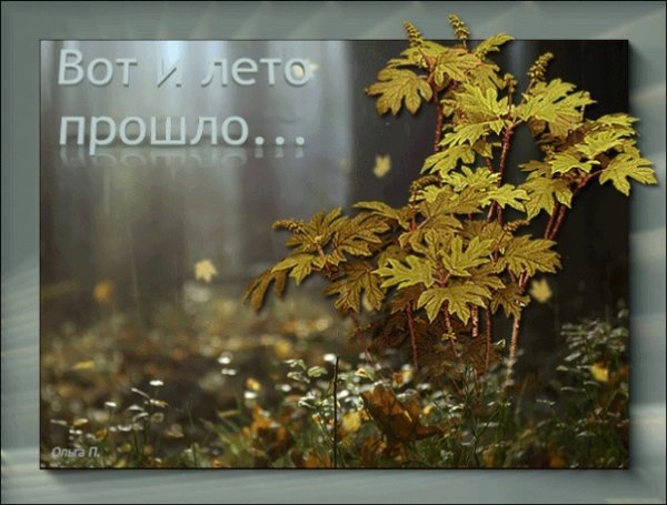 Лето прошло