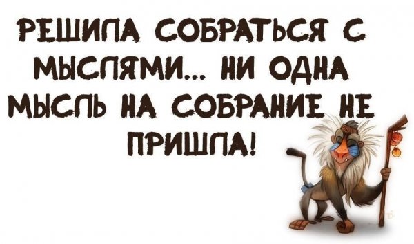 Веселые высказывания в картинках