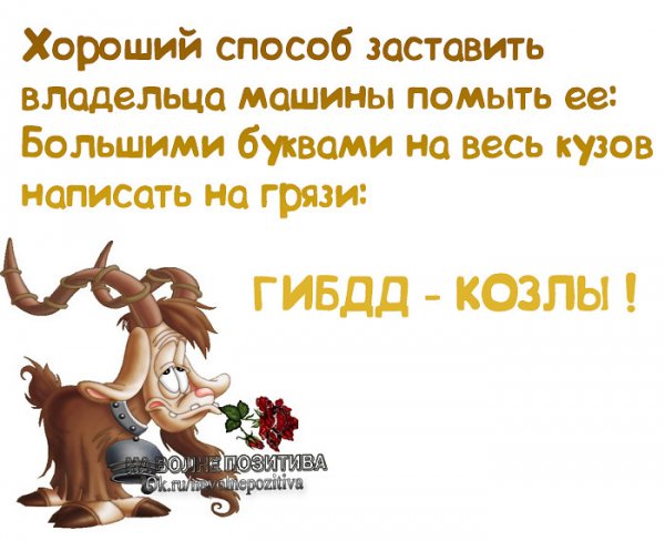 Самые позитивные статусы в картинках