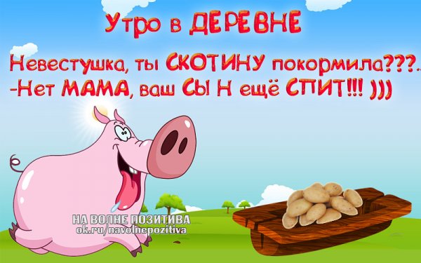 Статусы прикольные в картинках свежие